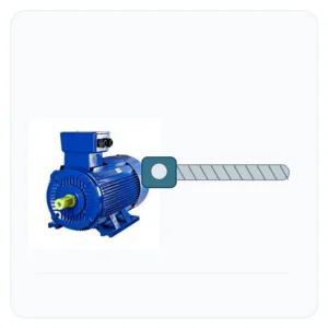 Motor coupled to a linear screw drive